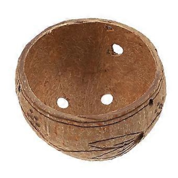 1 st Trädgårdsdekor Suckulenter Hängande Kruka Växter Hängande Kokosnötsskal Växtkruka