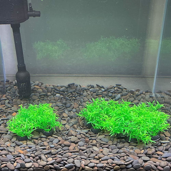 20 stk/lot Kunstige Plastplanter Akvariumplanter Små Høye Go