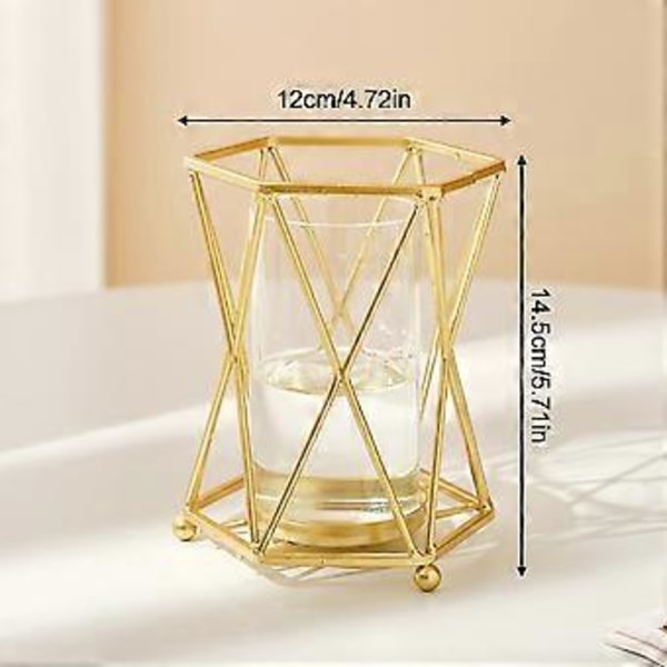 Hydroponiska Gröna Växtvas Ornament Transparent Vas Bordsdekorationer för Vardagsrum Sovrum Arbetsrum