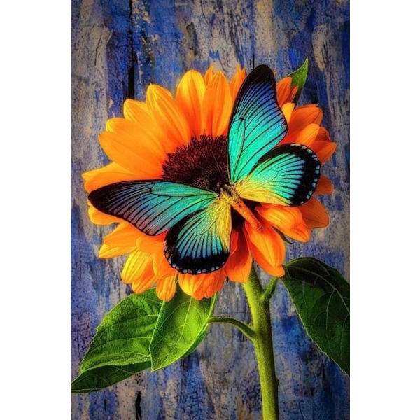 30x40cm 5D DIY timanttimaalaus täydellinen, Série de Papillon#L,DIY Diam