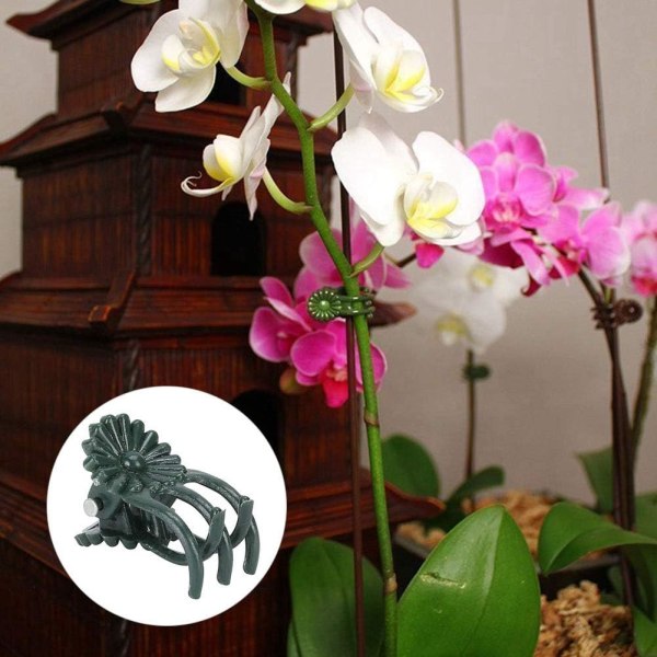 200st växtklämmor Orkidéklämmor Blomformad växtklämma Orchid S