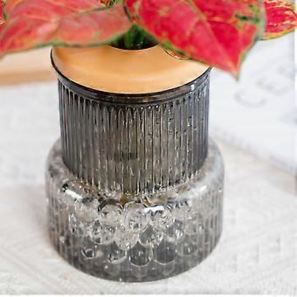 Skrivbords Hydroponisk Vas Ornament med Lock Hydroponisk Växtförökning Terrarium för Trädgårdsentusiaster Present Transparent Gray