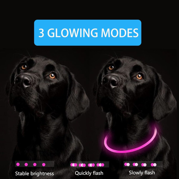 USB Rechargeable Light Up Dog Collar Flashing Collar Adjustable L