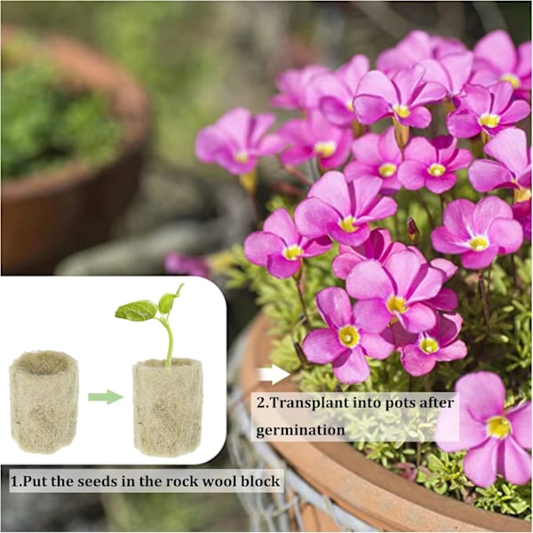 50 stk Hydroponiske Rockwool Cube Block Plugger Rockwools Voksende