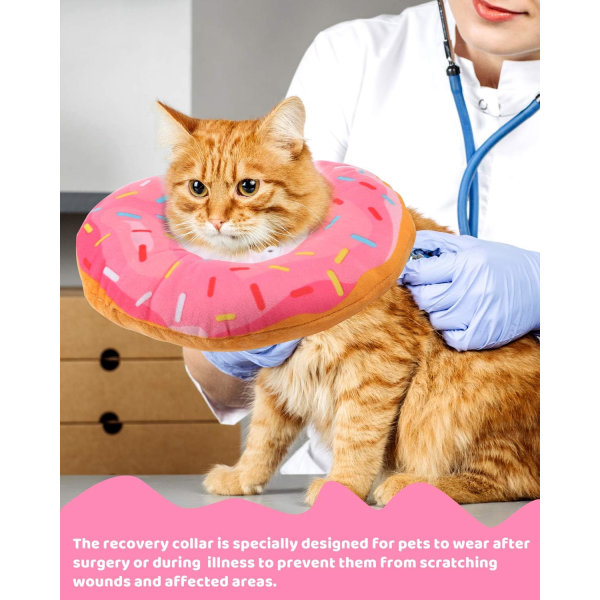 Justerbar kattekegle, kattehalsbånd, sårheling efter operation