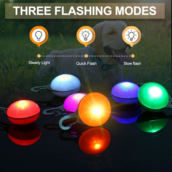 3-pakkaus LED-koiranpantavalo, valaistu koiranpanta, leikattava LED-koira
