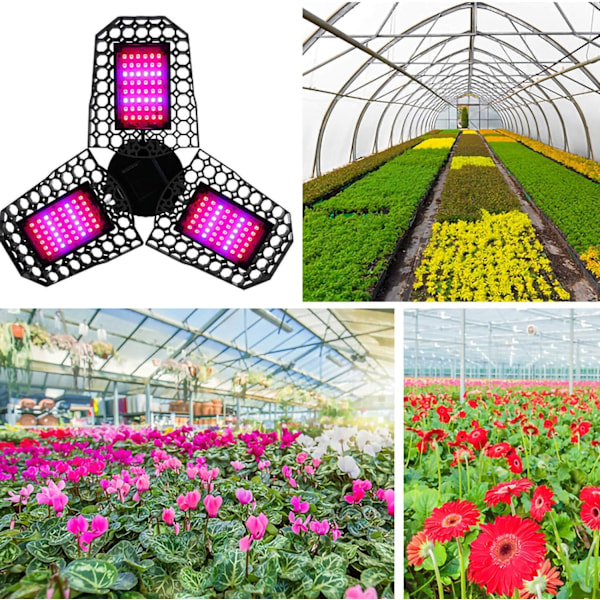 Kasvilamppu Taitettava Kasvualamppu E27 80W 144 LED:tä LED Kasvualamppu