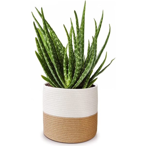 Blomkruka i bomullsrep, vävd korg, modern arrangör