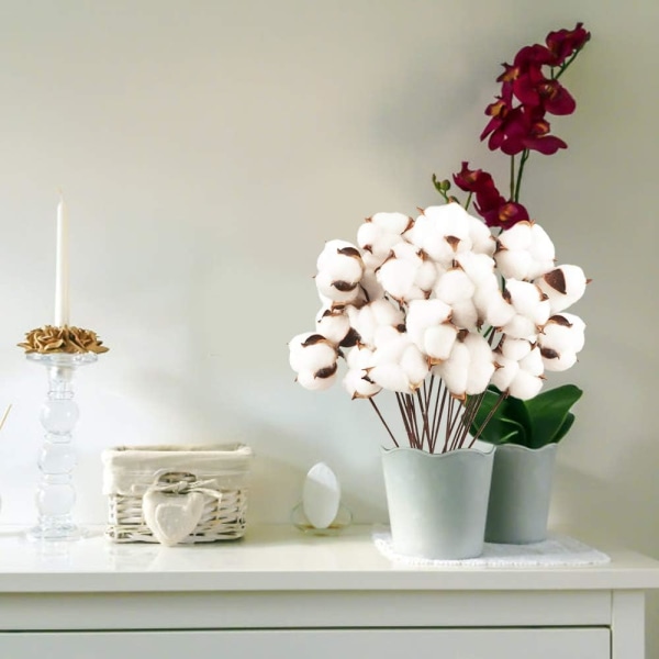 20 pakker med naturlige bomulds-, tørrede blomster-, stilke-, falske grene,