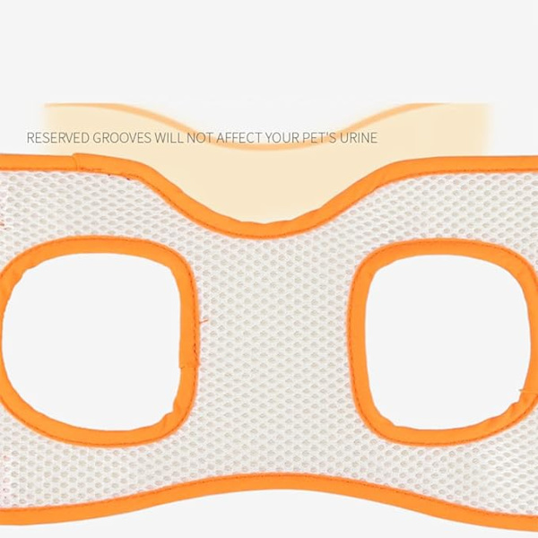 Oranssi koiran apuväline (S vyötärönympärys 28-36 cm, jalka