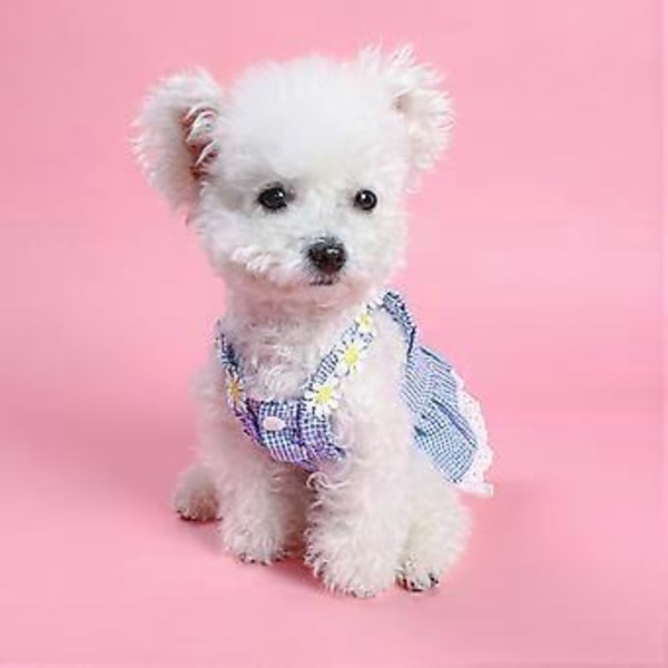 Flickhund Kläder Kostym Kläder Blommig Klänning Spets Prinsessklänning Vår Sommar för Valphundar och Katter Gul L Yellow S