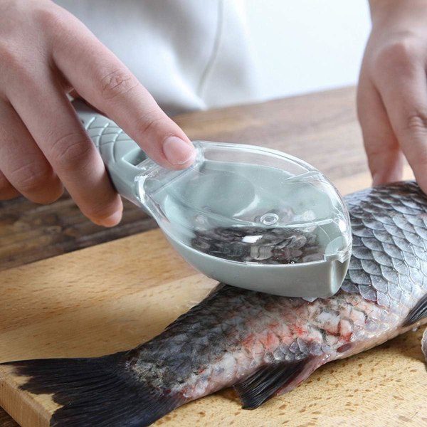 Fiskfjällskrapa 4 st Fiskfjällborste Fiskfjällsskrapa Professionell Fisk