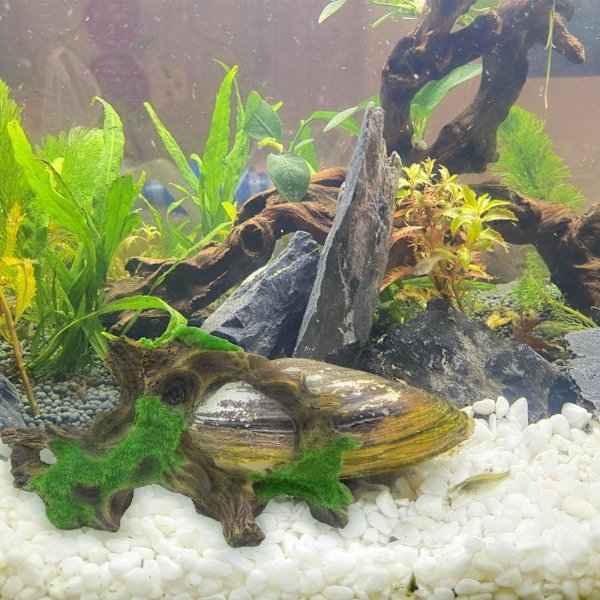 Akvarie Drifting træ fisk tank hule fisk kamp logs og Mo