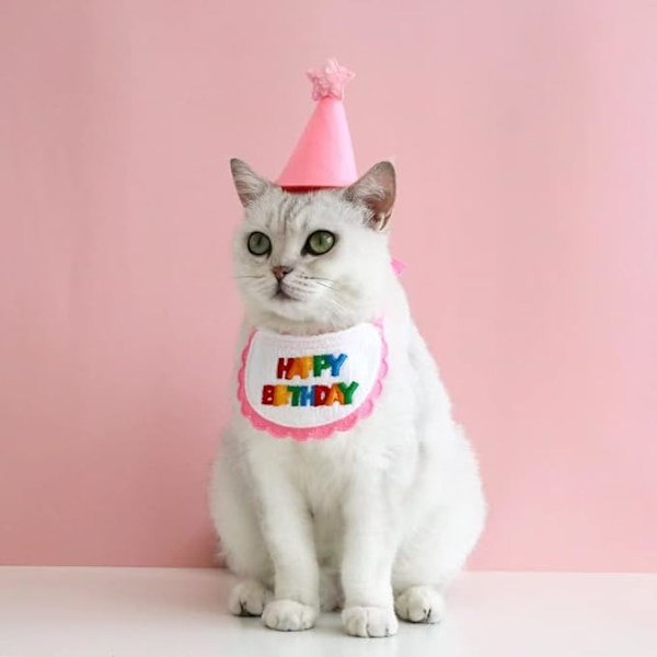 Rosa, husdjurshalsduk - Minihund och katt - Festsjalar och hatt -