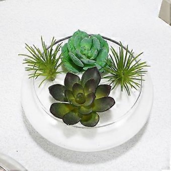 Glas Planteringskruka Glas Suckulentkruka Liten Blomkruka Liten Planteringsbehållare Klar Fisk Skål