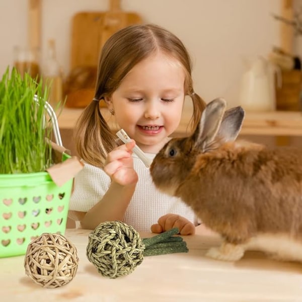 10-pack kaninleksaker för tandvård och träning, naturligt trä