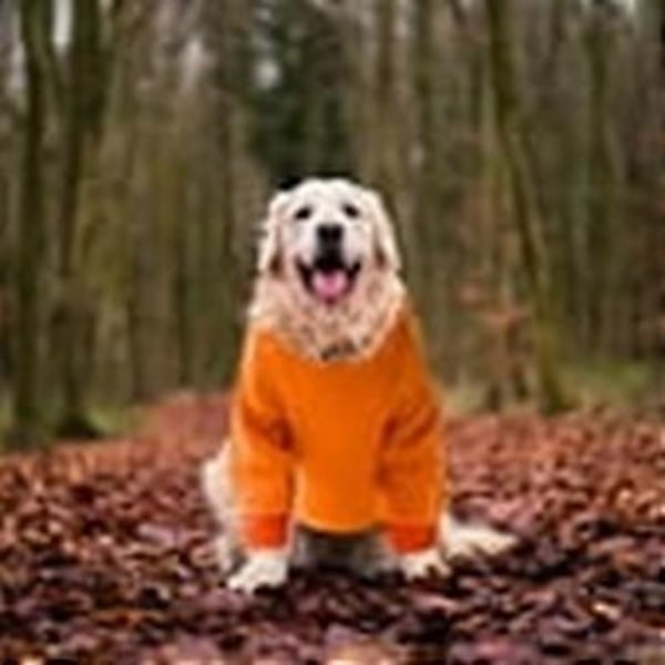Kæledyrstøj Lomme Sweatshirt Orange