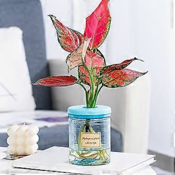 Selvvandende Plantepotter Vase Hydroponisk Beholder med Effektiv Fugtighedskontrol for Nem Vedligeholdelse og Dekoration 83 soft stopper