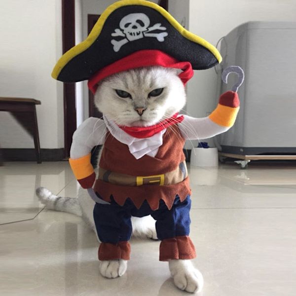 Halloween-asut Koira Kissa Pieni Merirosvo Cosplay-vaatteet (S)