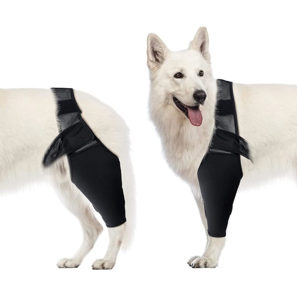 Hundarmbågsstöd, hundkompressionsknästöd, armbågs- och axelstöd, dysplasi, artrit, armbågsförhårdnader, trycksår, axelledsluxation (M)