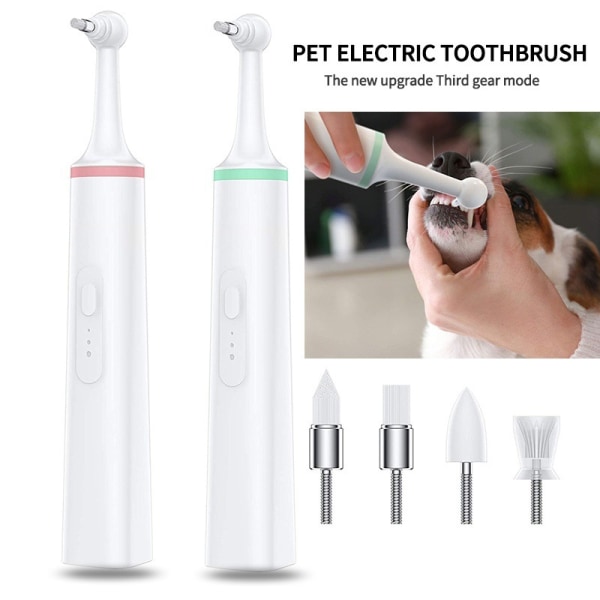 Elektrisk tannbørste for kjæledyr, verktøy for rengjøring av tennene for katt, katt, elektrisk Do