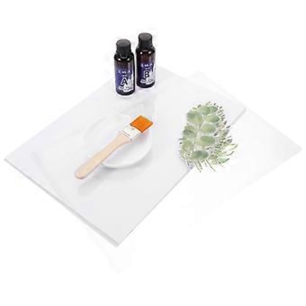 1 Set DIY Cyanotypi Utskriftsmaterial Cyanotypi Målningsvätska Hantverk Tillverkningsmaterial