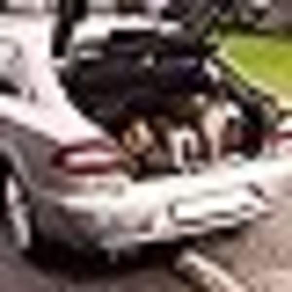 4 Par Bär Hund Tass Djur 3D Fotspår Bilstickers för Bil Dekoration