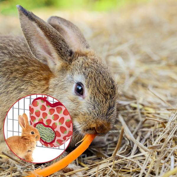 (liten jordgubbs höpåse) Jordgubbs höpåse för kanin/hamster/