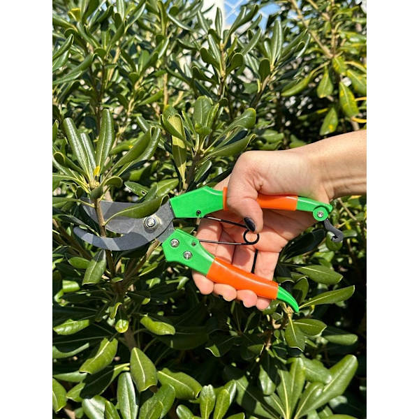 1 stk grønn hagesaks 19 cm rett blad - Ergonomisk