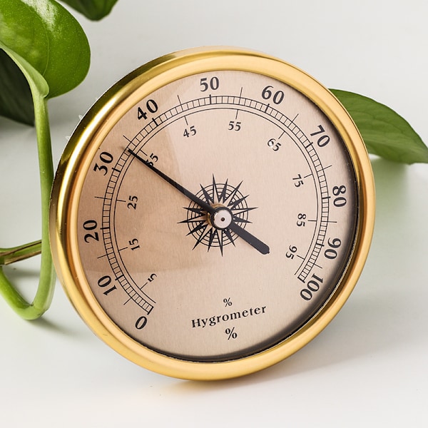 Utomhustermometer, sugkopp utomhustermometer, för att fixeras