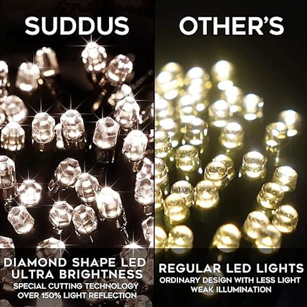 Vita julgransljus utomhus/inomhus, 10 m 100 LED-fjärrkontroll