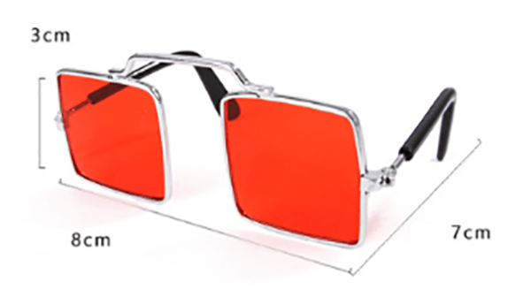 Violte Pet Goggles, Pet Goggles, Pet Take Pictures, Pet Accessor