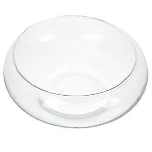 Glas Planteringskruka Glas Suckulentkruka Liten Blomkruka Liten Planteringsbehållare Klar Fisk Skål