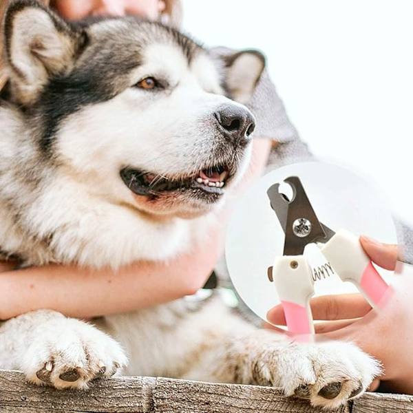 Hundeklosax Kattklo Trimmer Husdjur Toppklippare Blad Rakblad