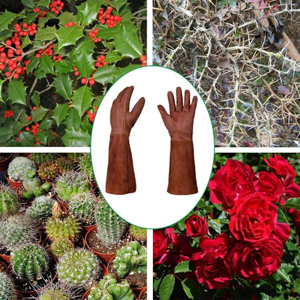 L Håndtering: 22,8-24 cm Rosenhandsker, Dame Havehandsker, la