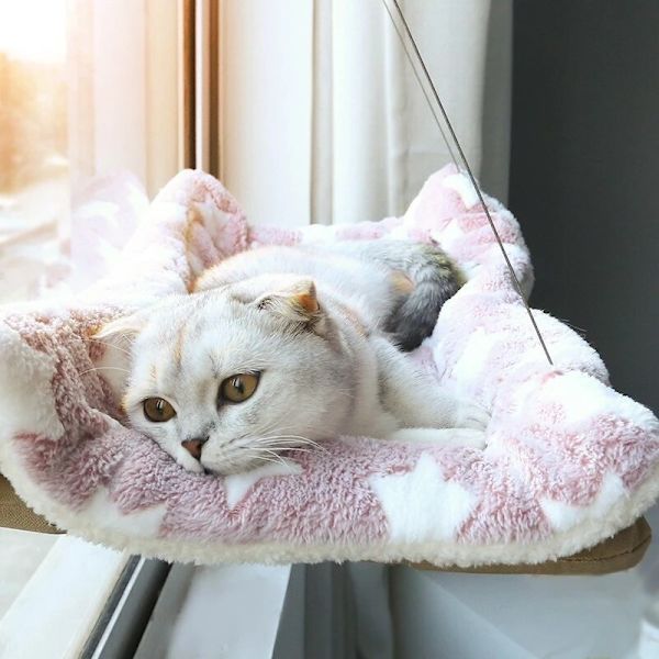 Söt husdjurshängande sängar som tål 20 kg katt solig fönsterplats montering Pe