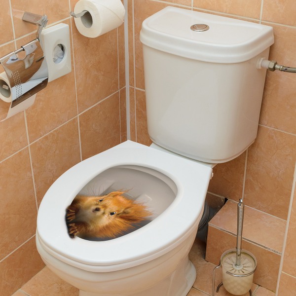 Orava WC-seinätarra, kylpyhuoneen sisustustarra, s