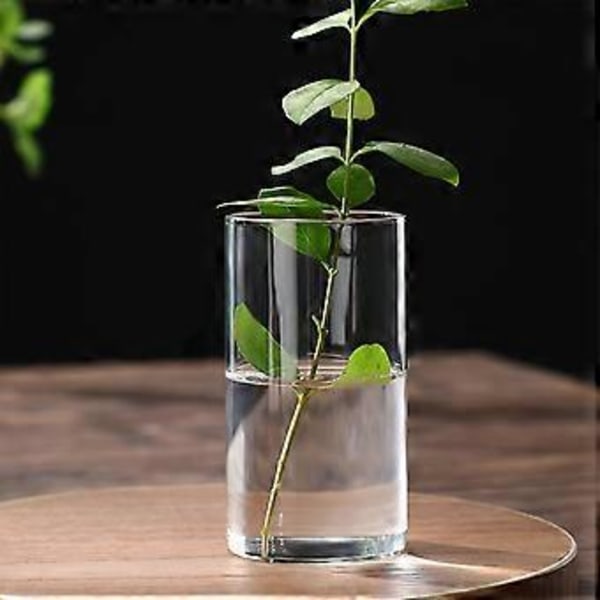 Klar Glasvas Blomvas Minimalistisk Glasvas Cylinderformad Blomvas för Bröllop Vardagsrum Dekorativ Gåva 5.5x10cm