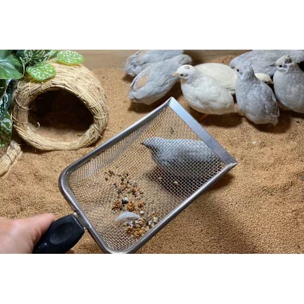 Reptilsand Underlag Metall Sand Skopa Rostfritt Stål Fint Nät