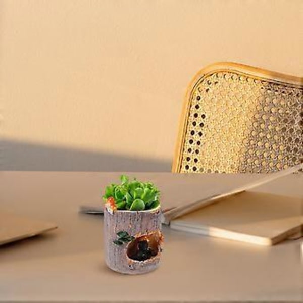 Sort Bjørn Blomst Sedum Sukkulent Potte Plantekasse Bonsai Trug Kasse Plantebed Kontor Hjem Have Potte Dekoration