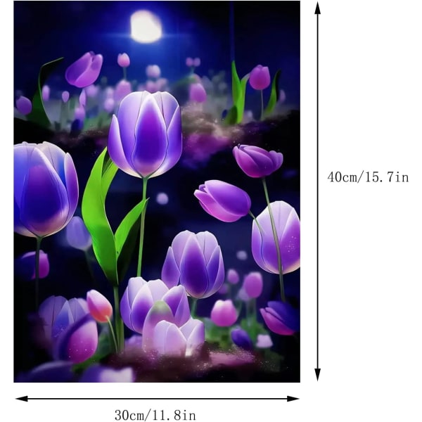 30 × 40cm Timanttimaalaus aikuisille, DIY Timanttimaalaus,