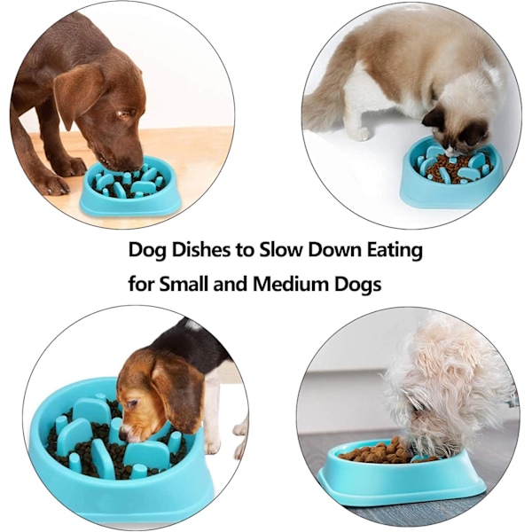 Hundskål - Intressant interaktiv skål - Slow Feeder - För små