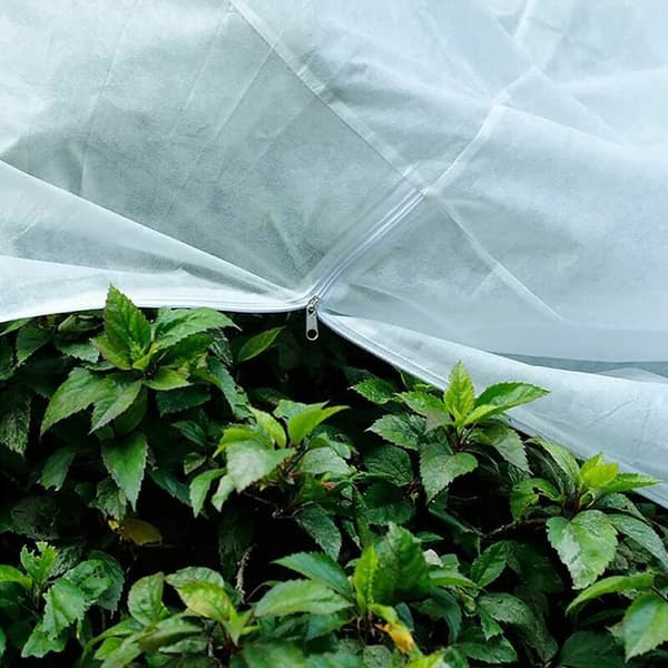 1 stk (140×200cm, Beige) Plante Vinterdække, Oliven Vinterdække