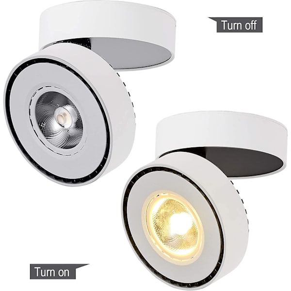 Inomhus 12w Led Takljus Justerbar Reflektor Sväng, 10x6cm