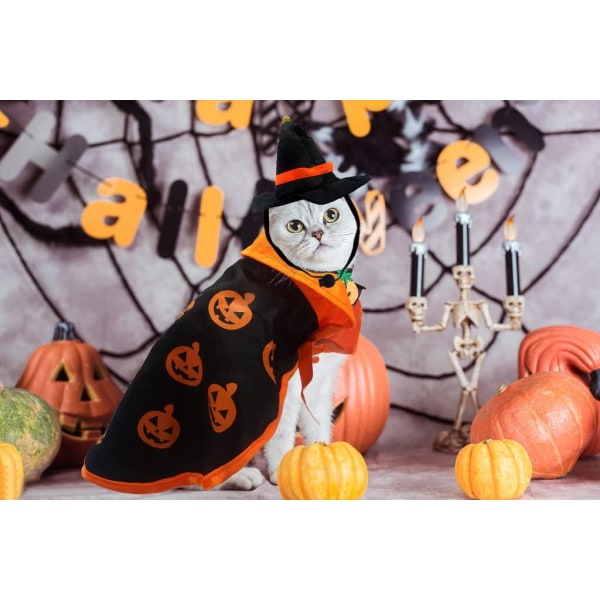 Halloween Pet Pumpkin Witch -viitta Cosplay-bileiden koristeluun, C
