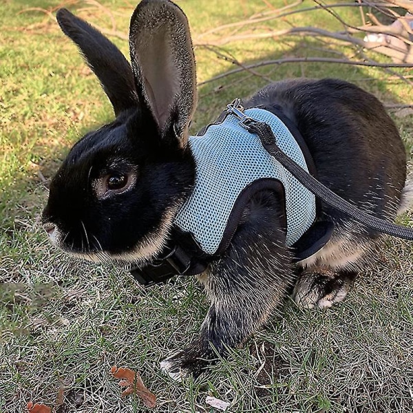 Kaninsele Bekväm Justerbar Dragverktyg Iller Råttor Hamster Mjukt Mesh Sele Koppel Väst Set Husdjurstillbehör..