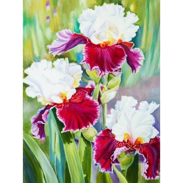30x40cm 5D DIY timanttimaalaus täydellinen, Fleurs#A, DIY timantti Rhinest