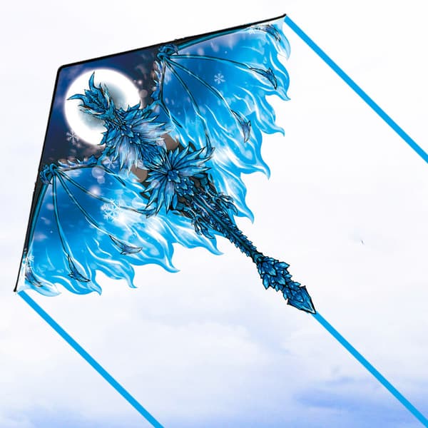 Drage Kite for Barn og Voksne