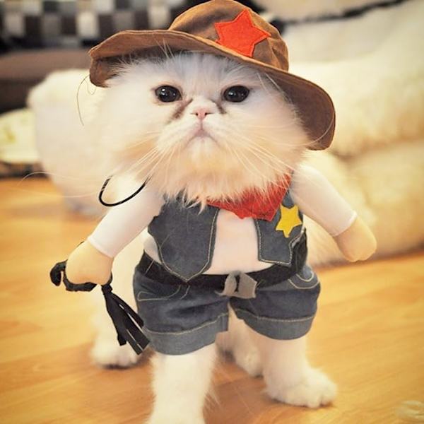 Juldräkter för hund eller katt Cowboy med hatt