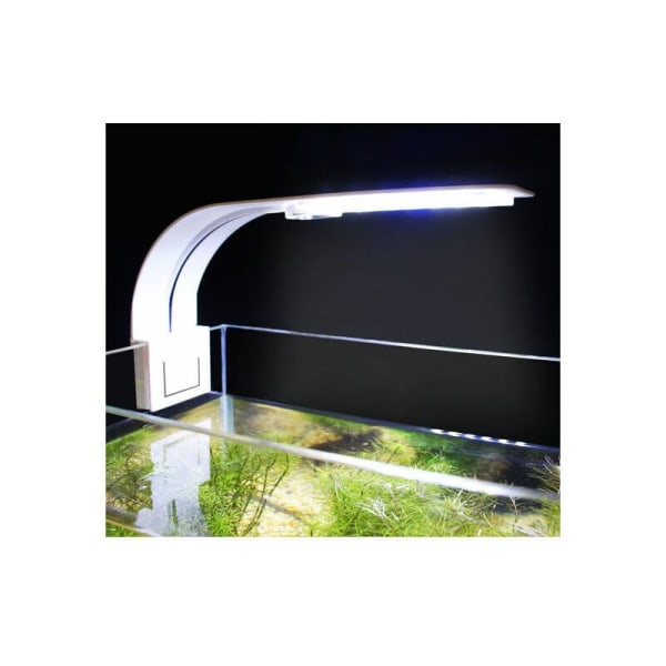 LED akvarielys hvit og blått lys nano clip belysning